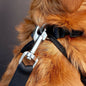 Two Pack Dog Seatbelt Leash