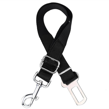 Two Pack Dog Seatbelt Leash