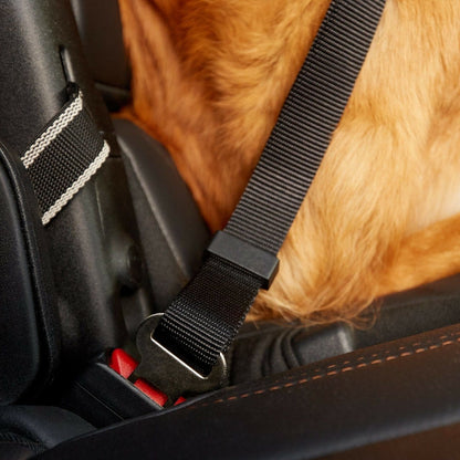 Two Pack Dog Seatbelt Leash